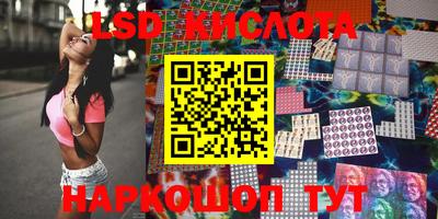 гашик Донской