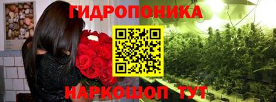 гашик Донской