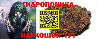 гашик Донской