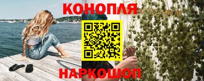 гашик Донской
