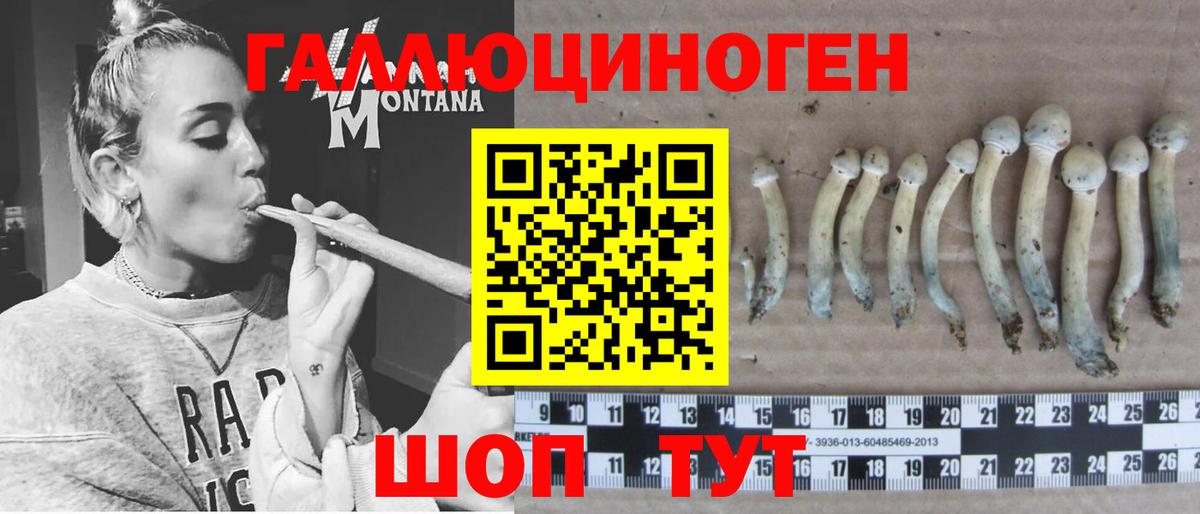 Псилоцибиновые грибы прущие грибы Можайск
