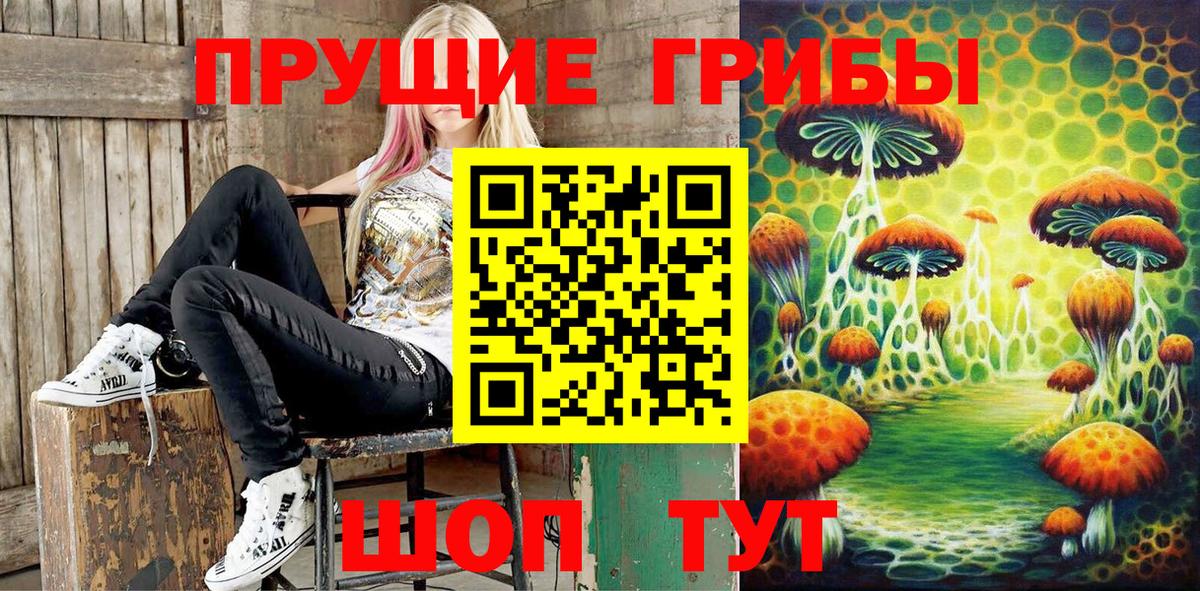 Псилоцибиновые грибы MAGIC MUSHROOMS  Вход с VPN  Можайск  Галлюциногенные грибы GOLDEN TEACHER 